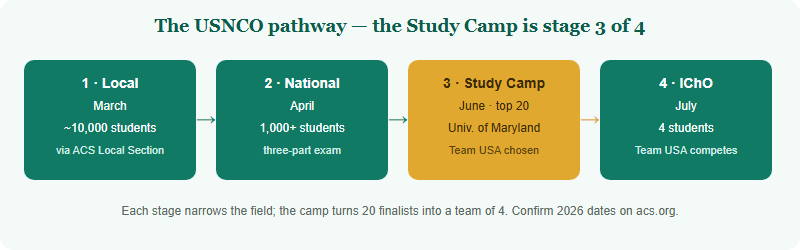 The USNCO Study Camp & How Team USA Is Chosen (2026)