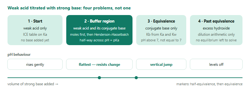 A diagram of a weak-acid titration divided into four regions along the volume axis. Region one, before any base is added, contains the weak acid only, is solved with an ICE table on Ka, and the pH rises gently. Region two, the buffer region, contains the weak acid and its conjugate base, is solved by doing the neutralisation in moles and then using the Henderson-Hasselbalch relationship, and is the flattest part of the curve where the pH equals the pKa at half-equivalence. Region three, the equivalence point, contains the conjugate base only, is solved using Kb obtained from Ka and the ion product of water, and shows a vertical jump to a pH above seven. Region four, past equivalence, contains excess hydroxide, is solved by dilution arithmetic on the excess strong base alone, and levels off.