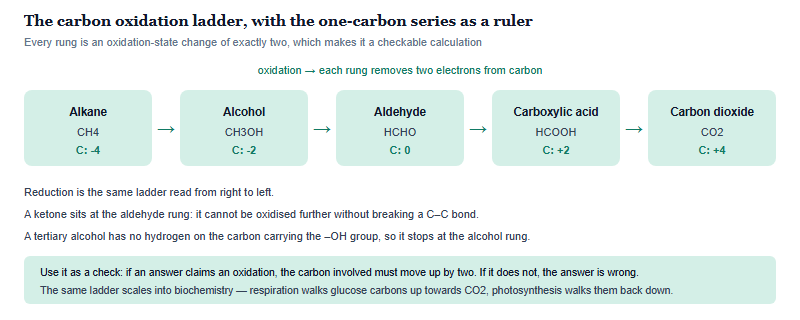 The carbon oxidation ladder shown as five boxes with the oxidation state of carbon at each rung: alkane methane at minus four, alcohol methanol at minus two, aldehyde methanal at zero, carboxylic acid methanoic acid at plus two, and carbon dioxide at plus four. Each step is an oxidation of two electrons; reduction reads the ladder from right to left.